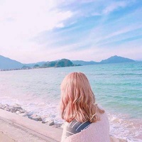车牌收藏家